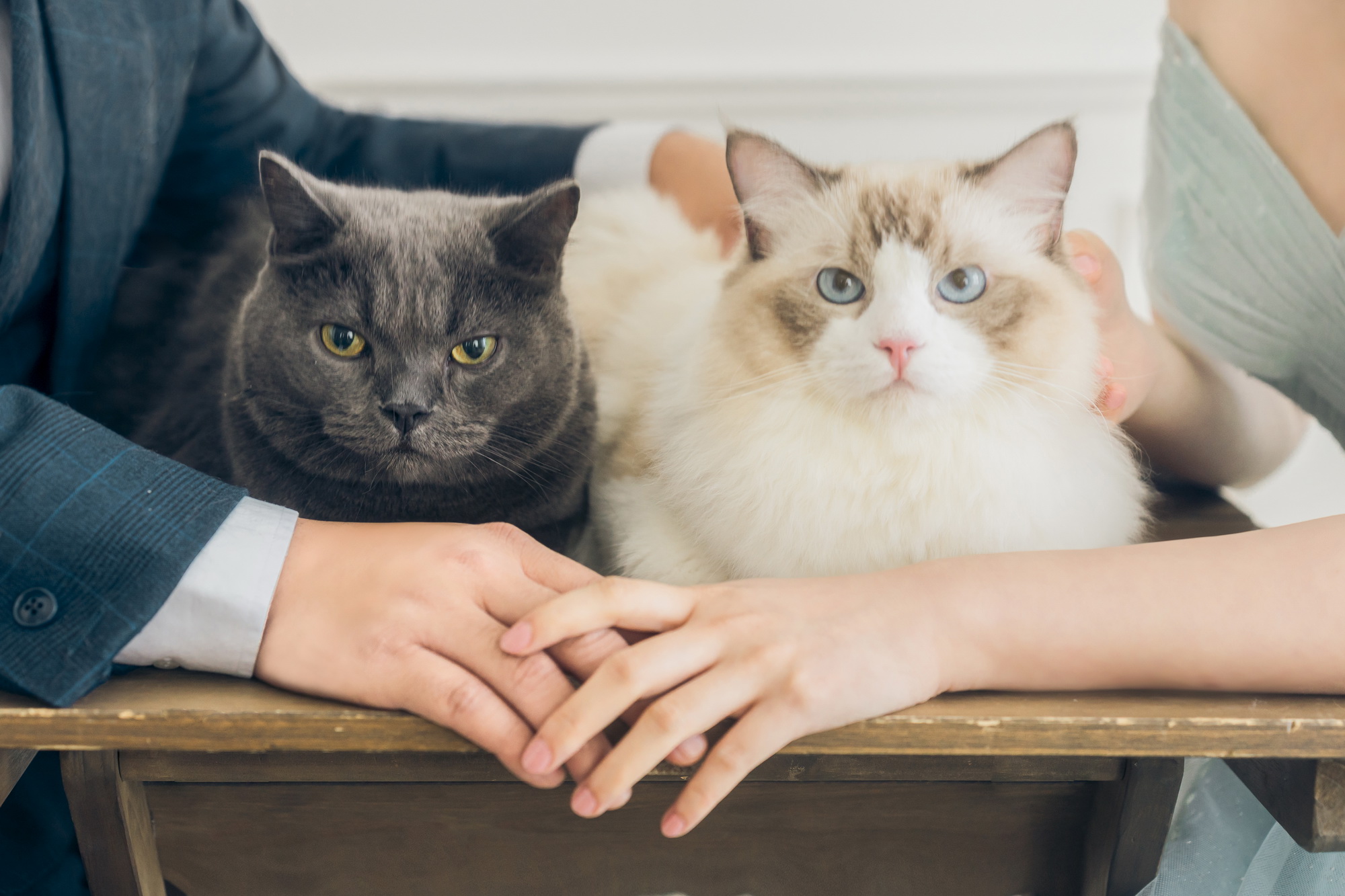 婚紗推薦 首選唯你 婚紗攝影，台北婚紗 中最推薦的高質感 婚紗照，拍婚紗 優惠實在，給新人最幸福的 婚紗攝影 體驗，客製化 婚紗照 包套，網路評價一致好評 婚紗價格 最透明的 婚紗攝影 團隊，實現您夢幻婚禮就在唯你 婚紗攝影。