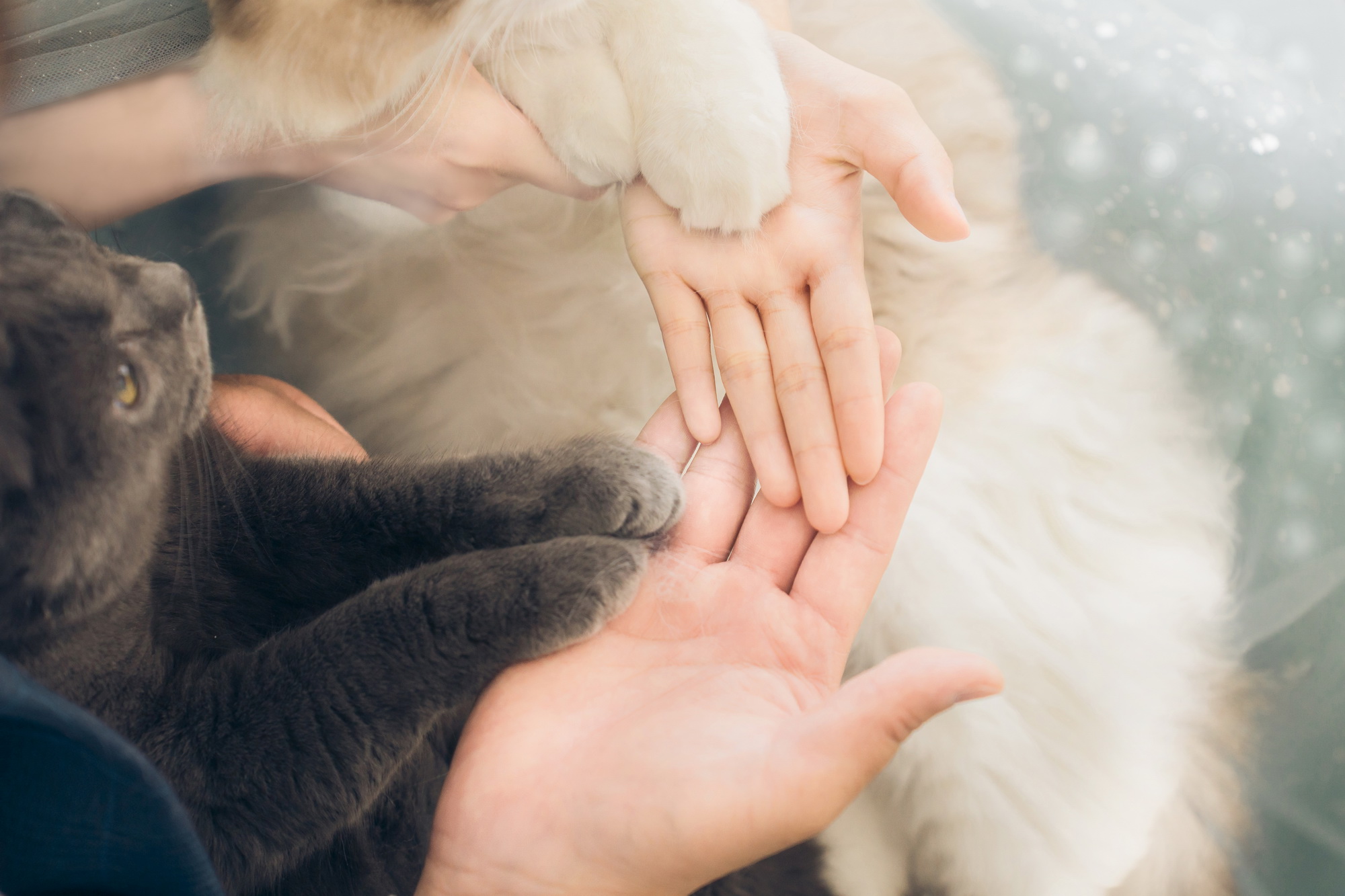 婚紗推薦 首選唯你 婚紗攝影，台北婚紗 中最推薦的高質感 婚紗照，拍婚紗 優惠實在，給新人最幸福的 婚紗攝影 體驗，客製化 婚紗照 包套，網路評價一致好評 婚紗價格 最透明的 婚紗攝影 團隊，實現您夢幻婚禮就在唯你 婚紗攝影。