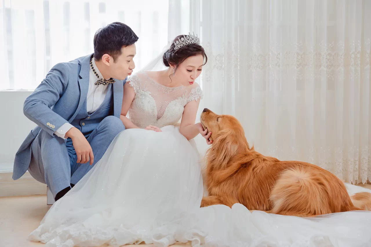 寵物婚紗｜多場景毛孩互動精選